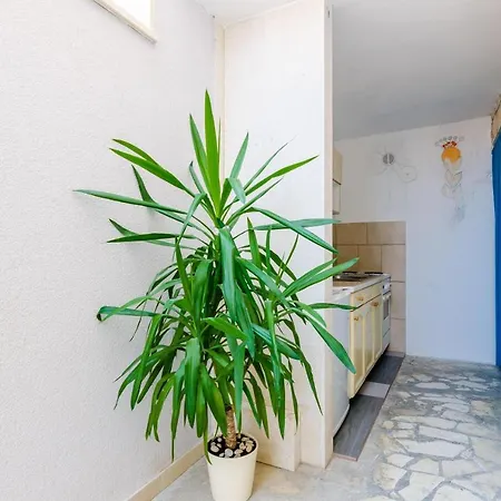 Nikola- Double With Terrace And Sea View Apartman *